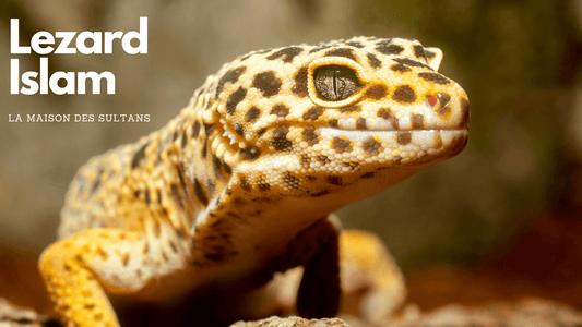 Comprendre le lézard en Islam - Hadiths et Interprétation