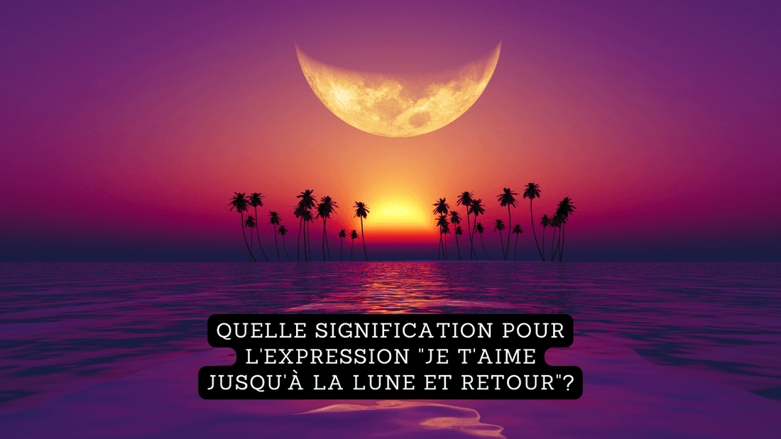Quelle signification pour l'expression "JE T'AIME JUSQU'À LA LUNE ET RETOUR"?