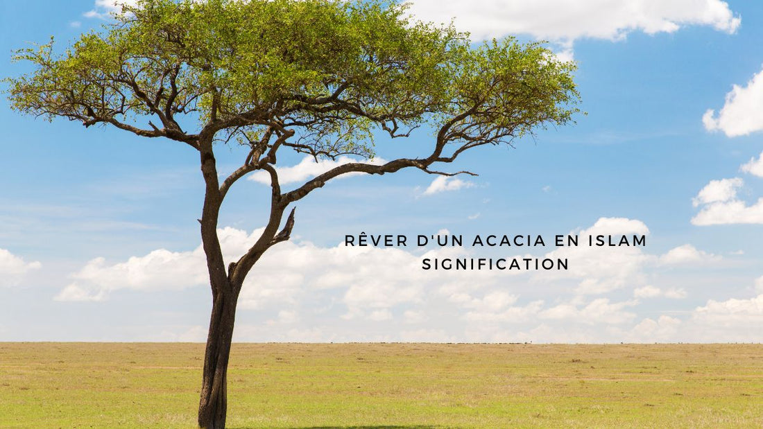 Rêver d'un acacia en islam signification