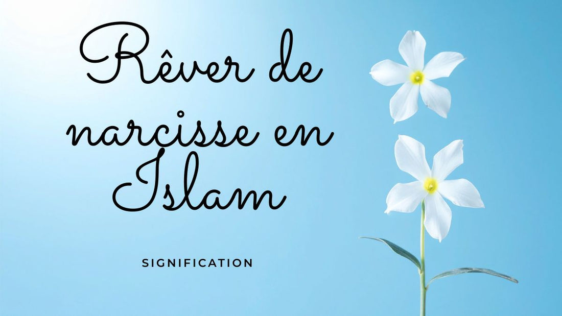 Rêver de narcisse en Islam: quelle signification?