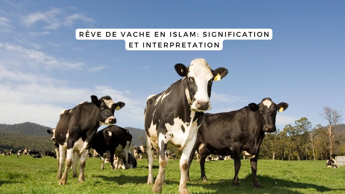 Rêve de vache en Islam: signification et interprétation