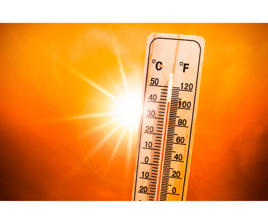 Définition de la canicule – La Maison des Sultans Paris Définition de la canicule – La Maison des Sultans Paris