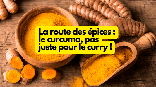 La route des épices : le curcuma, pas juste pour le curry !