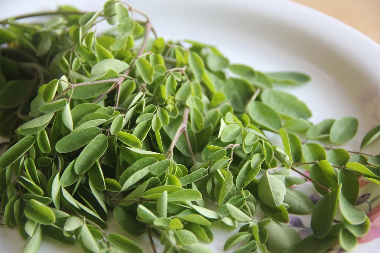 Huile de moringa: quels bienfaits et comment l&amp;#39;utiliser? – La Maison ...