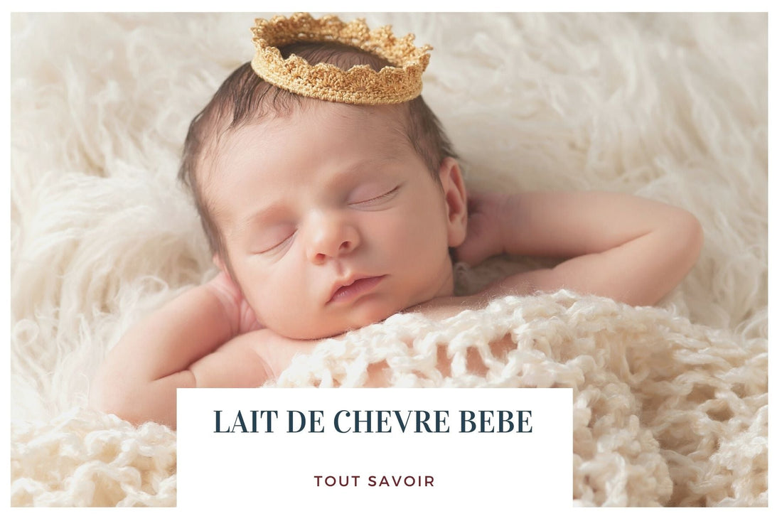 lait de chèvre bébé