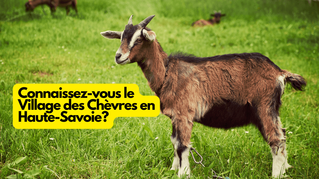Connaissez-vous le Village des Chèvres en Haute-Savoie?