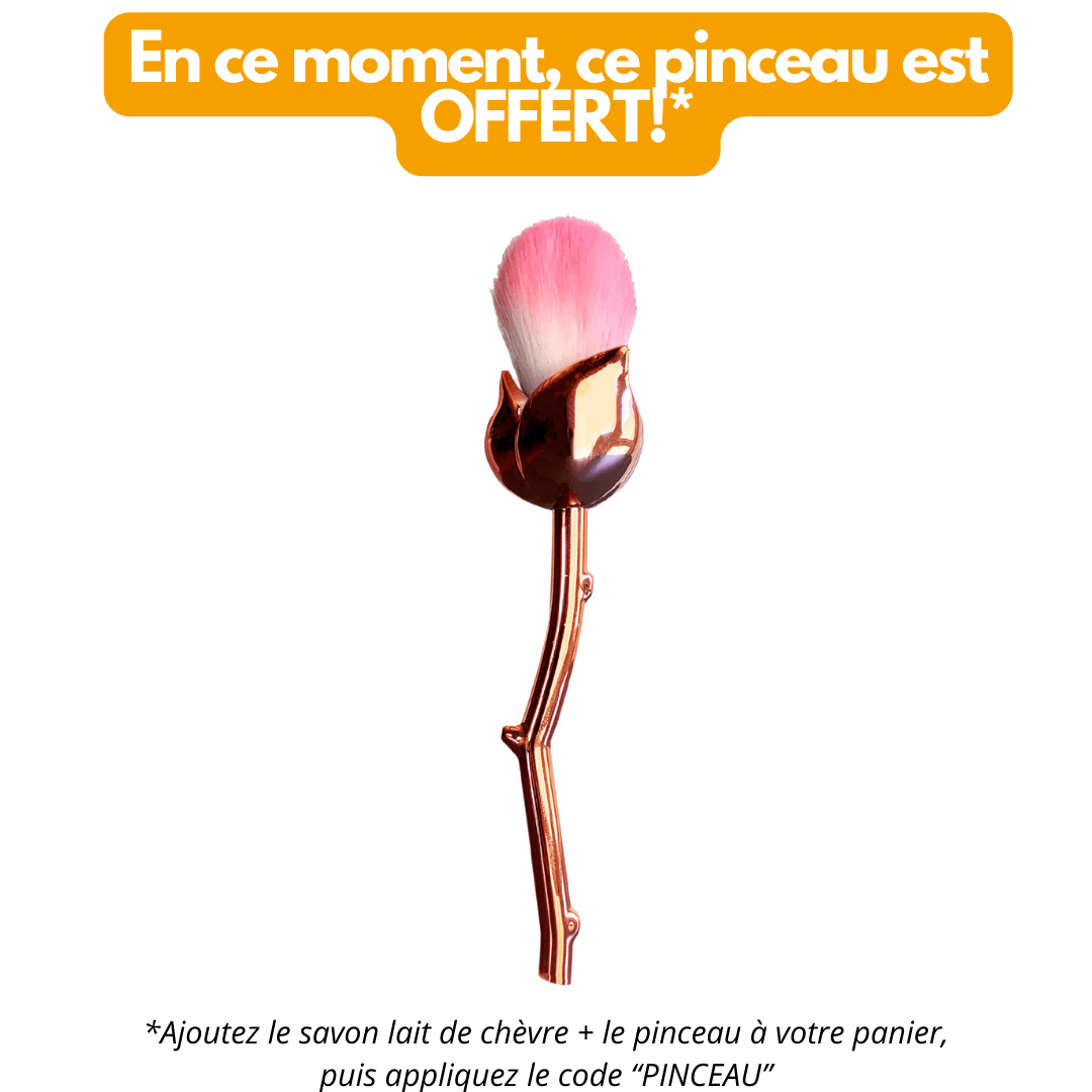 pinceau masque gratuit