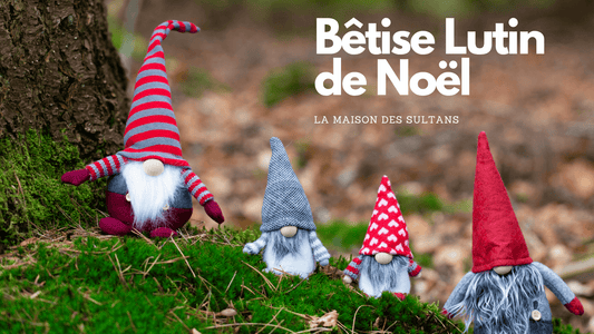 Bêtise Lutin de Noël: 30 idées de tour pour votre lutin de Noël