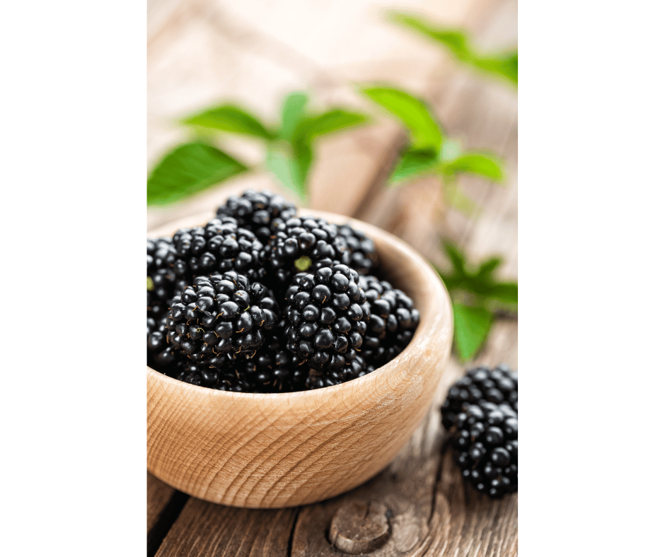 Confiture de mûres recette grand-mère