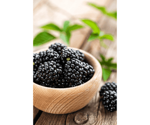 Confiture de mûres recette grand-mère
