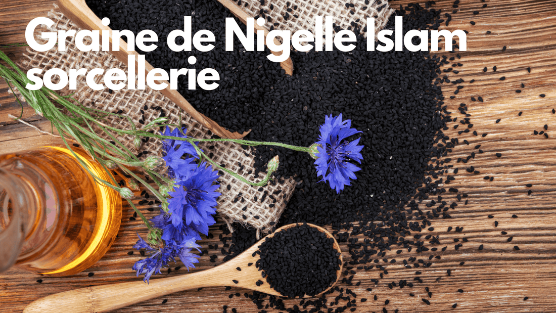 Graine de Nigelle Islam sorcellerie