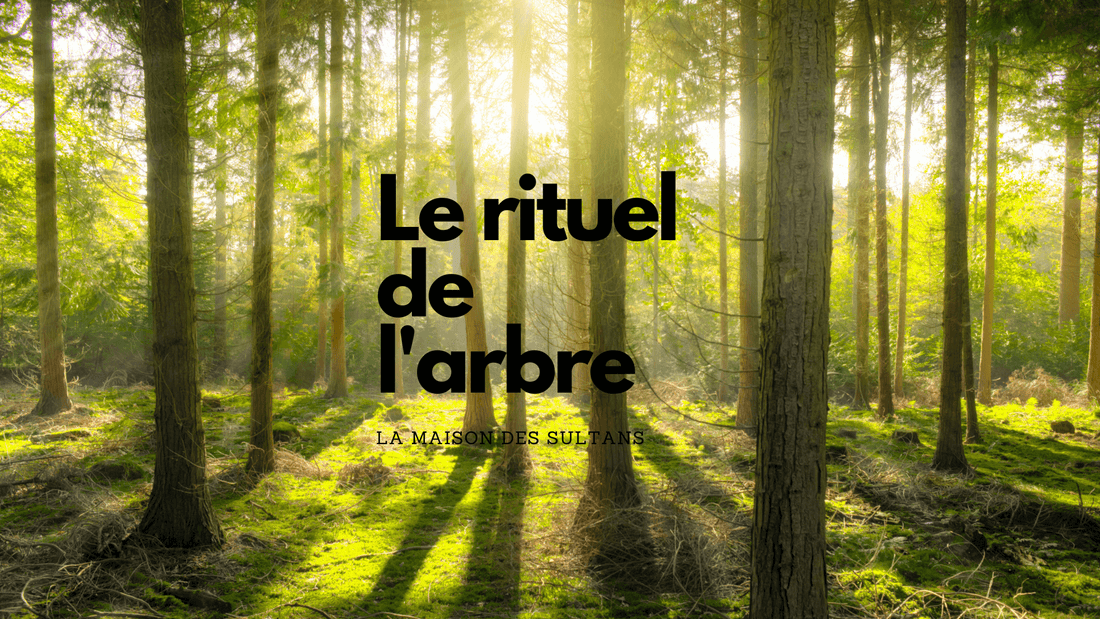 Le rituel de l'arbre