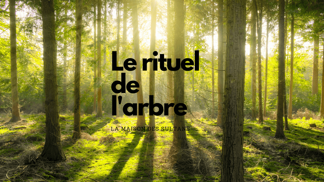 Le rituel de l'arbre