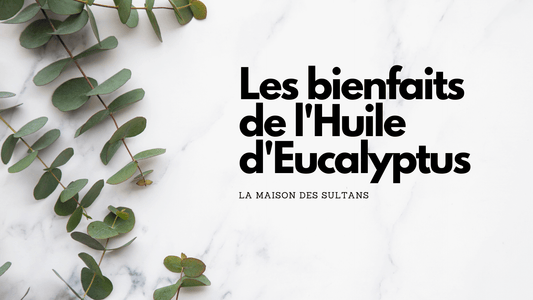 Huile d'eucalyptus bienfaits