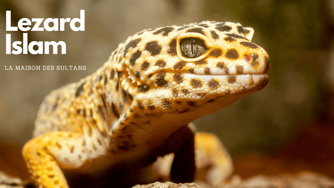 Comprendre le lézard en Islam - Hadiths et Interprétation