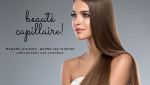 Madame d’Alexis : quand les plantes chuchotent aux cheveux