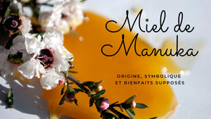 Miel de Manuka: origine, symbolique et bienfaits supposés
