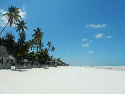 Quand partir à Zanzibar