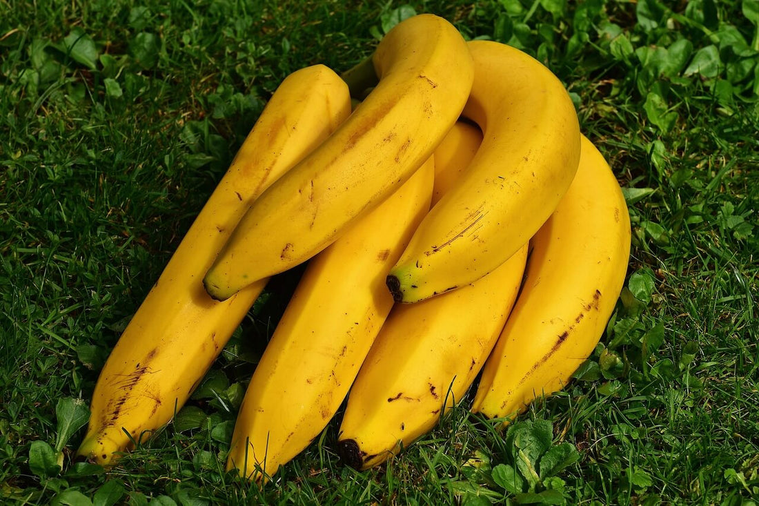 Que faire avec des bananes trop mûres