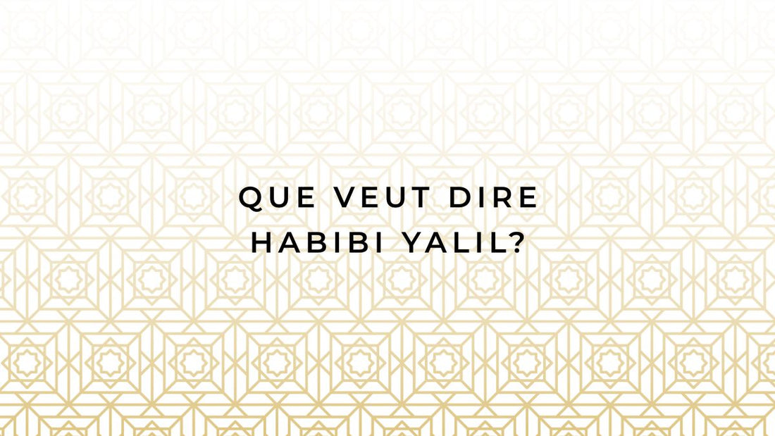 Que veut dire habibi yalil?