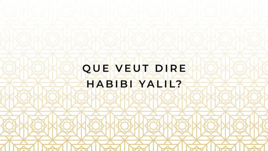 Que veut dire habibi yalil?