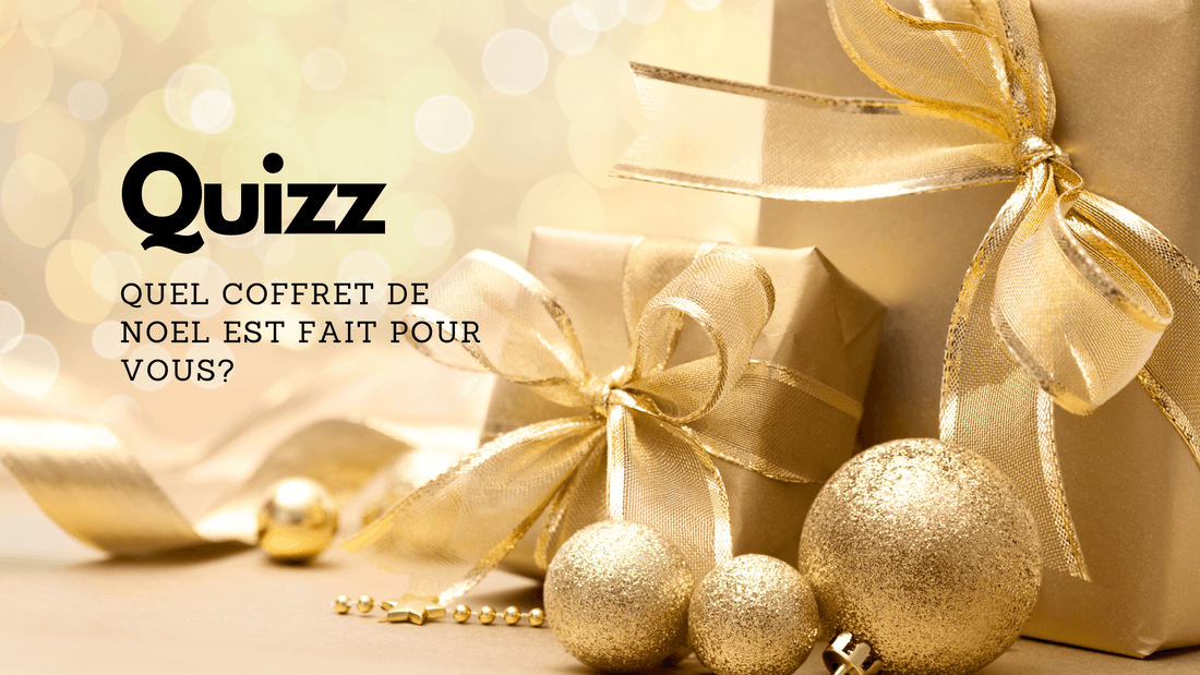 Quel Coffret Cadeau de Noël est fait pour vous?
