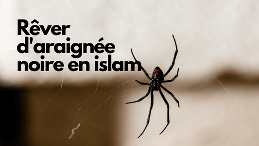 Rêver d'araignée noire en islam