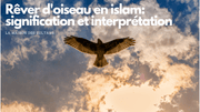 Rêver d'oiseau en islam: signification et interprétation