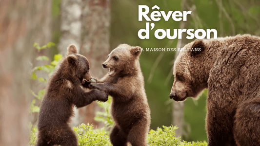 Rêve d'ourson: signification et interprétation