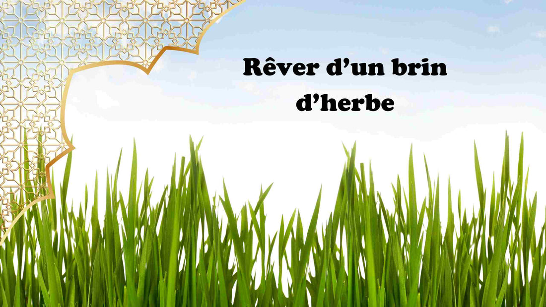 rever d'un brin d'herbe en islam