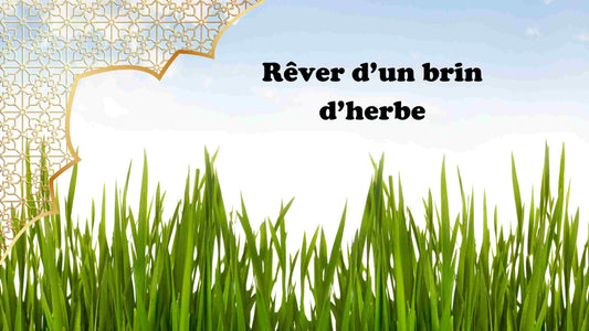 rever d'un brin d'herbe en islam