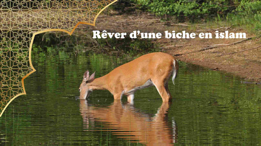 Rêver d'une biche en islam
