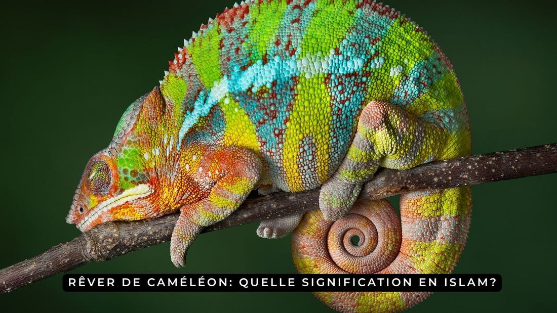 Rêver de caméléon: quelle signification en islam?