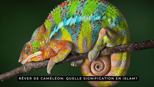 Rêver de caméléon: quelle signification en islam?