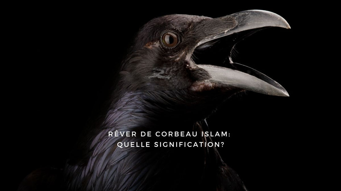 Rêver de corbeau islam: quelle signification?