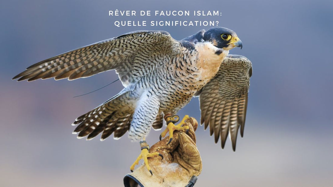 Rêver de faucon islam: quelle signification?