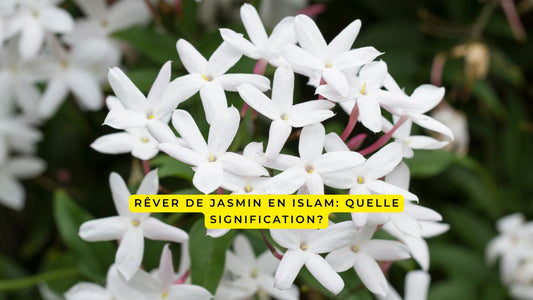 Rêver de jasmin en Islam: quelle signification?