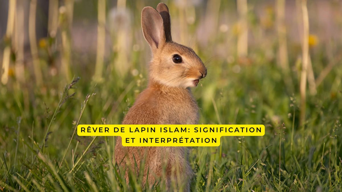 rêver de lapin islam signification