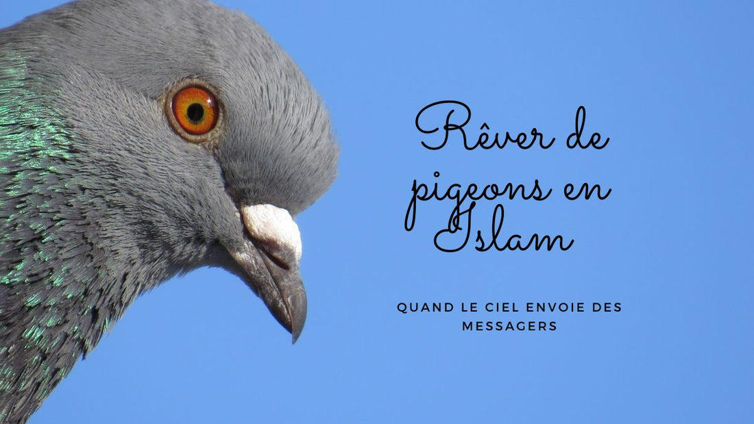 Rêver de pigeons en Islam : quand le ciel envoie des messagers