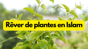 Rêver de plantes en islam: quelle signification?
