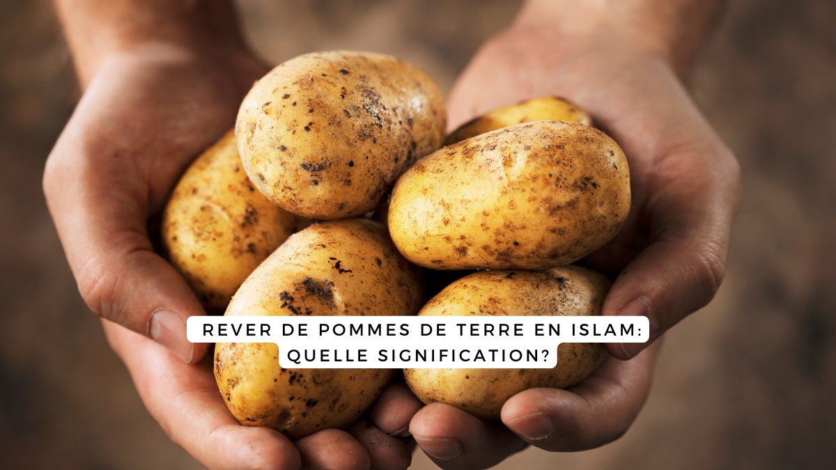 Rêver de pommes de terre en Islam: quelle signification? – La Maison