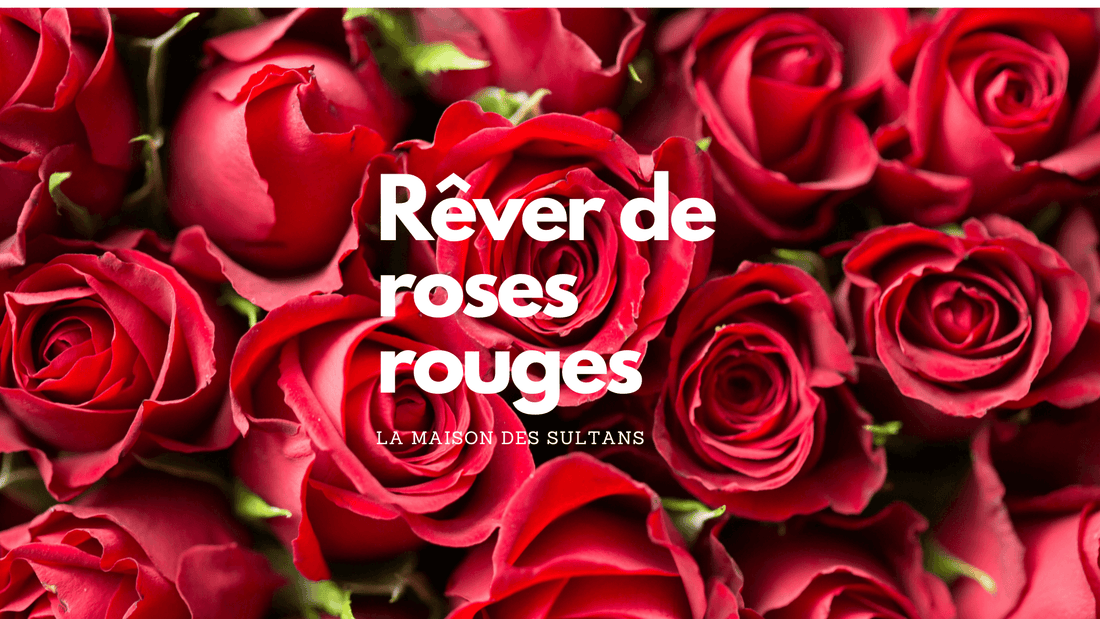 Rêve de rose rouge: signification et interprétation