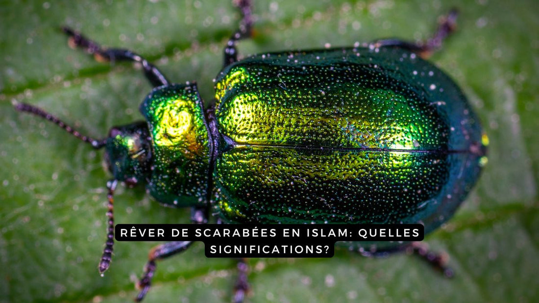 Rêver de scarabées en Islam: quelles significations?