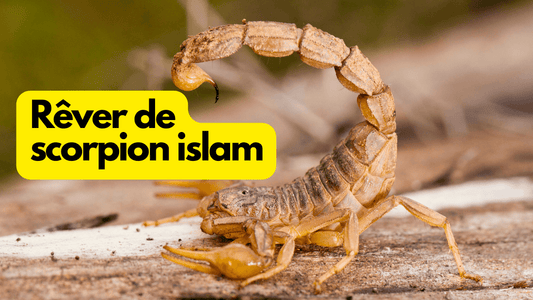 Rêver d'un scorpion islam: quelle signification?