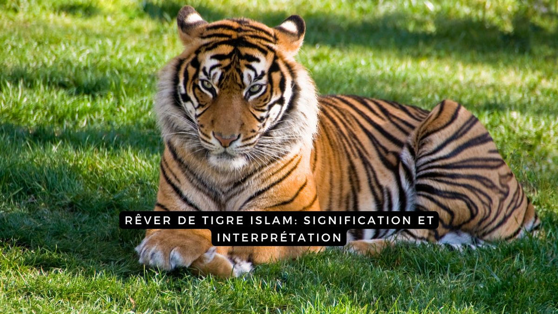 Rêver de tigre islam: signification et interprétation