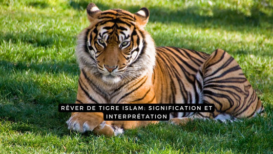 Rêver de tigre islam: signification et interprétation