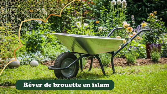 rêver d une brouette en islam