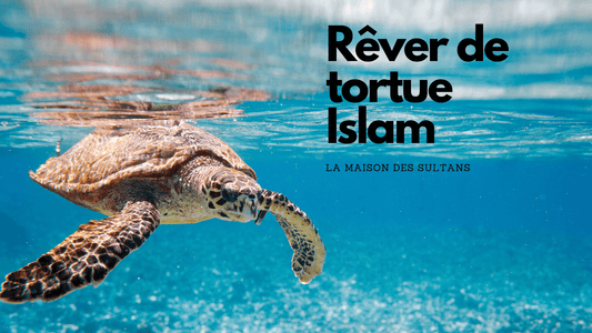 Rêver de tortue Islam 