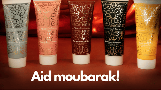 aid moubarak