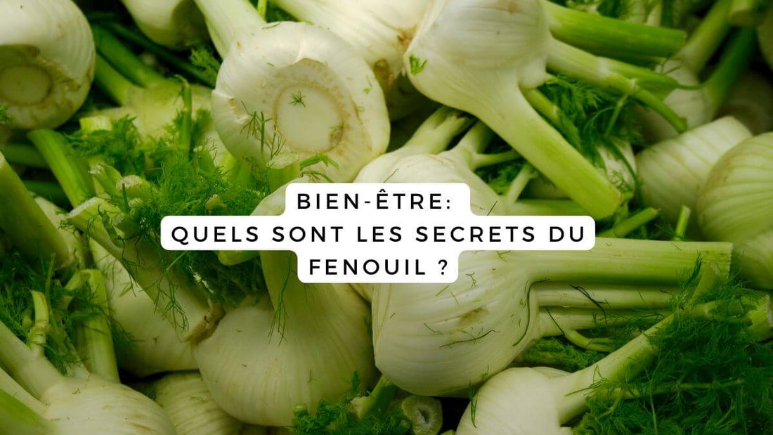 Bien-être: quels sont les secrets du fenouil ?